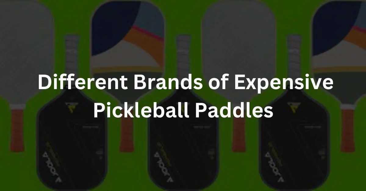 Different Brands of Expensive Pickleball Paddles