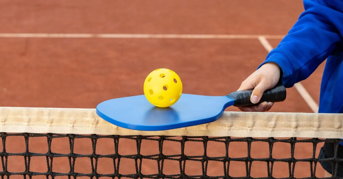 Why Are Pickleball Paddles So Expensive